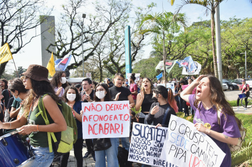 UPE - União Poxorense de Escritores: O VIOLEIRO E A ESTRADA